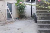 3 Bedroom Detached house · Farmakas (Nicosia) for sale 