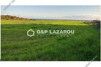 10368 SQM Land · Mazotos (Larnaca) for sale 