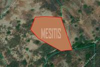 3345 SQM Plot in Pigenia (Nicosia) for sale 