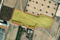 6021 SQM Plot in Athienou (Larnaca) for sale 