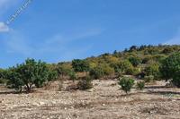 6689 SQM Plot · Koili (Paphos) for sale 