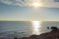 829 SQM Land in Peyia (Paphos) for sale 