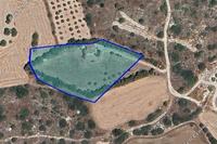 7191 SQM Land in Pentakomo (Limassol) for sale 