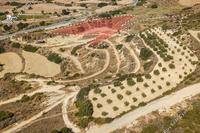 3512 SQM Land · Pissouri (Limassol) for sale 