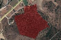 72924 SQM Land · Flasou (Nicosia) for sale 