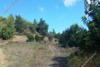 4683 SQM Land in Peristerona Pafou (Paphos) for sale 