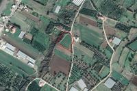 4180 SQM Land in Agia Marina Chrysochous (Paphos) for sale 