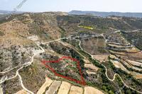 11706 SQM Plot in Dora (Limassol) for sale 