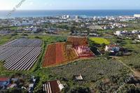 8549 SQM Land in Ayia Napa (Famagusta) for sale 