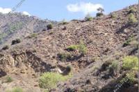 28429 SQM Land in Pomos (Paphos) for sale 