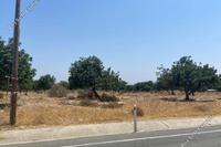 12375 SQM Land · Pachna (Limassol) for sale 