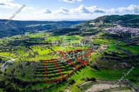 16545 SQM Plot in Dora (Limassol) for sale 