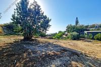 1338 SQM Land · Peyia (Paphos) for sale 