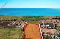 4181 SQM Land in Agios Theodoros Larnacas (Larnaca) for sale 
