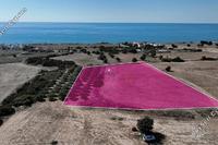 8027 SQM Land in Agios Theodoros Larnacas (Larnaca) for sale 