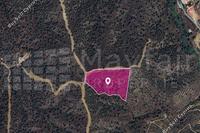 23078 SQM Land in Agios Theodoros Soleas (Nicosia) for sale 