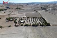 7488 SQM Plot · Aradippou (Larnaca) for sale 