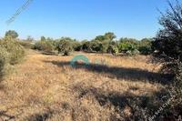 1134 SQM Land in Pera Orinis (Nicosia) for sale 
