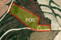 10034 SQM Land in Kathikas (Paphos) for sale 