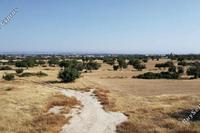 22800 SQM Land · Ypsonas (Limassol) for sale 