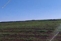 4348 SQM Land in Peristerona Lefkosias (Nicosia) for sale 