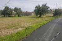 10018 SQM Land in Choirokoitia (Larnaca) for sale 