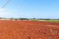 6074 SQM Land · Avgorou (Famagusta) for sale 