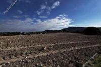 4683 SQM Land in Agios Theodoros Larnacas (Larnaca) for sale 