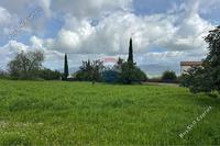 12710 SQM Land · Pano Akourdalia (Paphos) for sale 