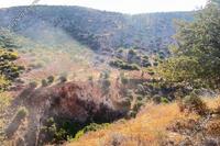 17392 SQM Land · Nata (Paphos) for sale 