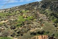 17392 SQM Land · Nata (Paphos) for sale 