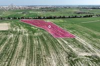 10034 SQM Land in Kalo Chorio Larnacas (Larnaca) for sale 