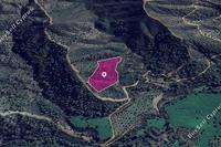 11204 SQM Land in Lythrodontas (Nicosia) for sale 