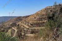 6689 SQM Land · Pachna (Limassol) for sale 