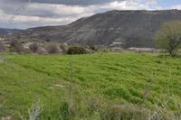 11192 SQM Land · Pachna (Limassol) for sale 