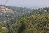 4060 SQM Land · Kapedes (Nicosia) for sale 