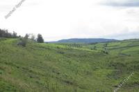 2676 SQM Land in Drynia (Paphos) for sale 