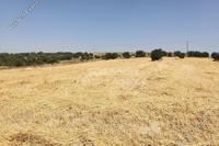 13713 SQM Land · Alampra (Nicosia) for sale 