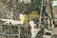 9700 SQM Plot in Pyrgos Limassol (Limassol) for sale 