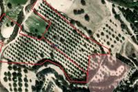 14716 SQM Land in Alaminos (Larnaca) for sale 