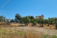 2190 SQM Land in Kaimakli (Nicosia) for sale 