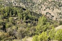 7693 SQM Land in Moutoullas (Nicosia) for sale 