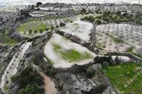 5686 SQM Land · Mesa Chorio (Paphos) for sale 