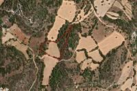 11372 SQM Land in Lysos (Paphos) for sale 