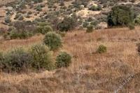 7693 SQM Land · Statos Agios Fotios (Paphos) for sale 