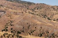 24081 SQM Land · Kelokedara (Paphos) for sale 