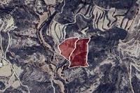 29098 SQM Land in Polemi (Paphos) for sale 