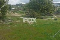 3679 SQM Land in Agridia (Limassol) for sale 