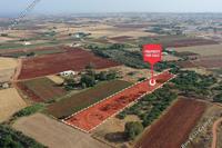 12146 SQM Land in Liopetri (Famagusta) for sale 