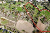 11706 SQM Land · Peristerona Pafou (Paphos) for sale 